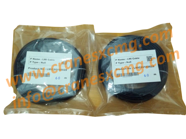 60m PAT computer cable