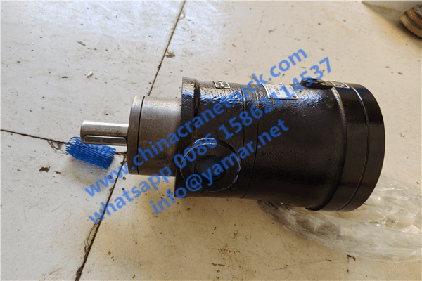 XCMG crane swing motor (1)